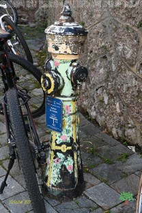  (Bild: Natalia Siedler)